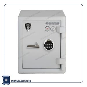 گاوصندوق گنجینه gs550