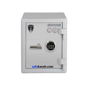گاوصندوق گنجینه gs550