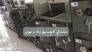 نمایندگی گاوصندوق آرکا در تهران